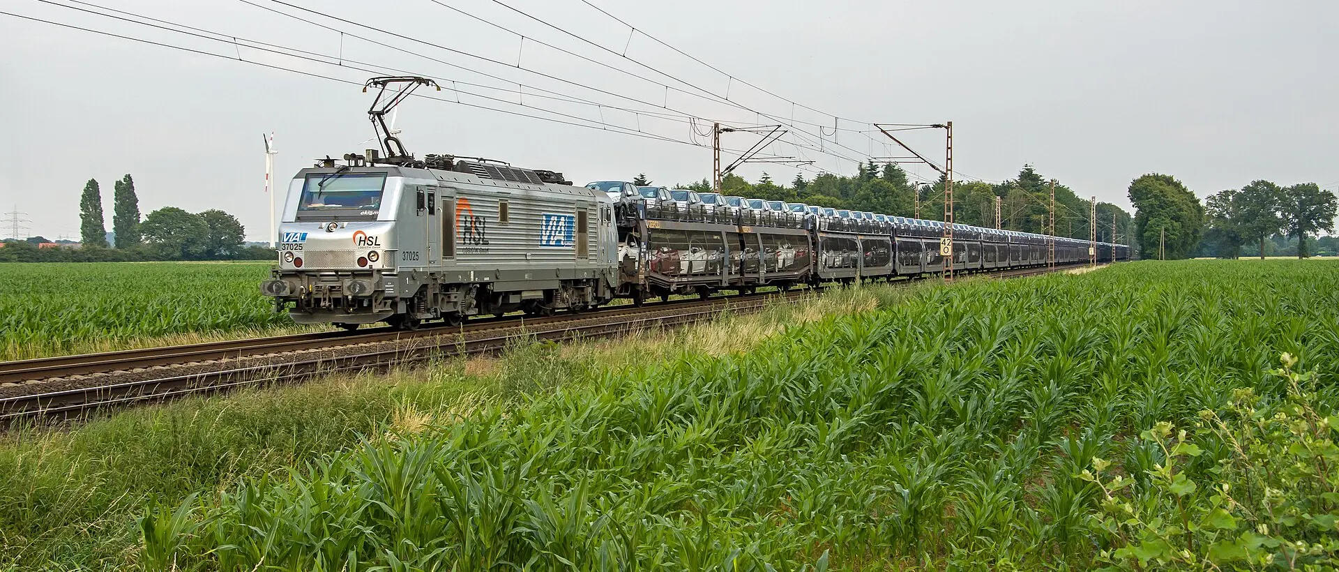 Silberne Elektrolok 37 025 mit VIA-Logo zieht einen Autotransportzug zwischen Maisfeldern